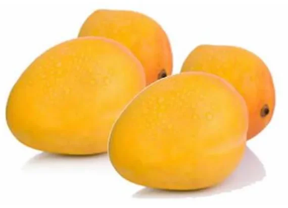 Mango de azucar